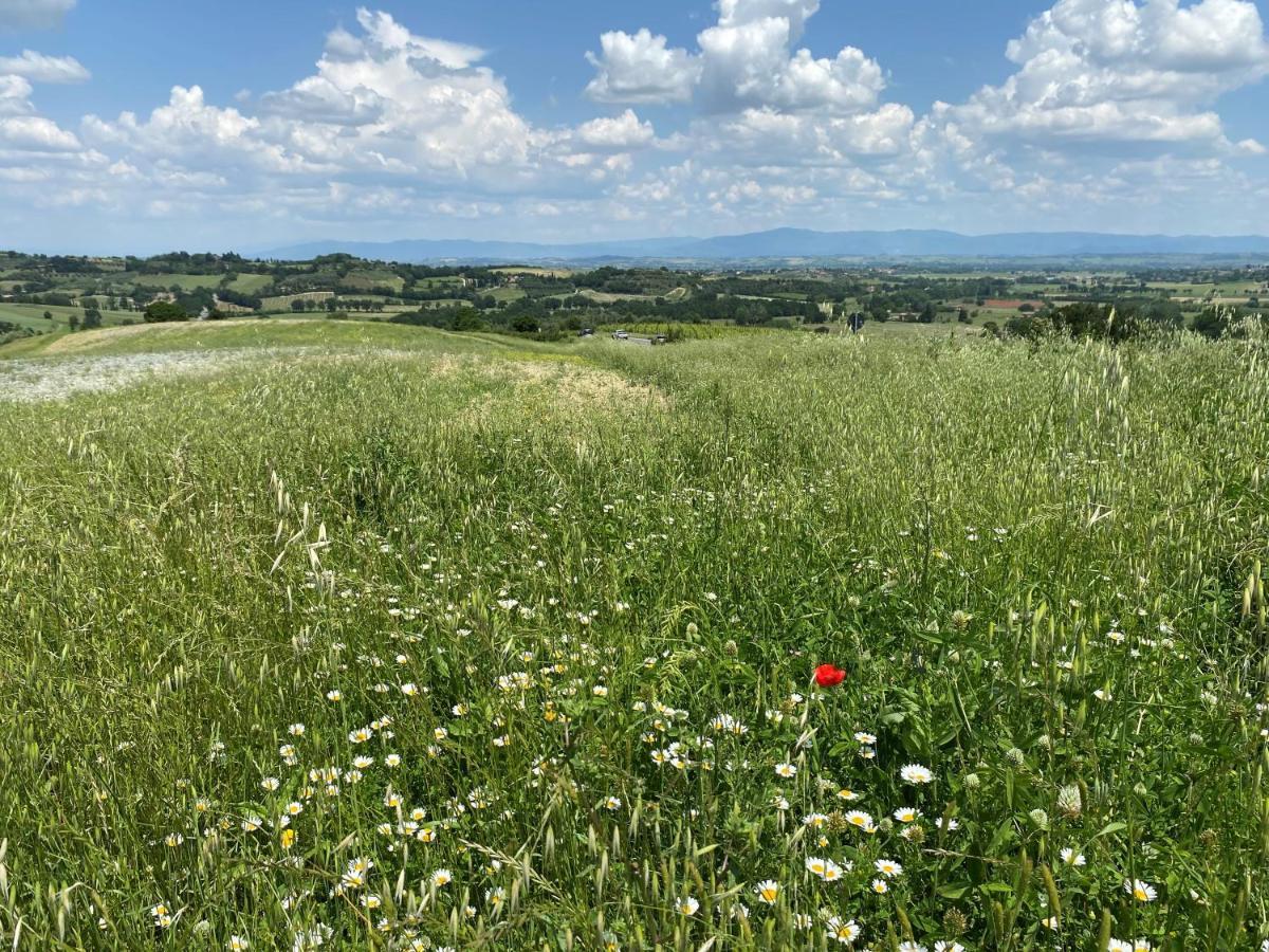 Agriturismo La Collina เซียนา ภายนอก รูปภาพ