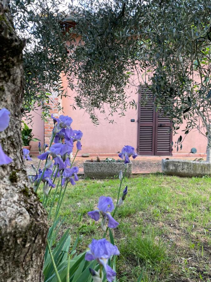 Agriturismo La Collina เซียนา ภายนอก รูปภาพ